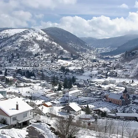 Cosy A Avec Wifi Et Parking, Proche Pistes - Fr-1-589-310 Landsted