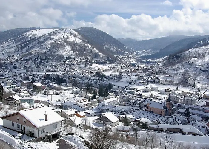 La Bresse, 4 Pièces, 6 Personnes - Fr-1-589-310 Hébergement de vacances